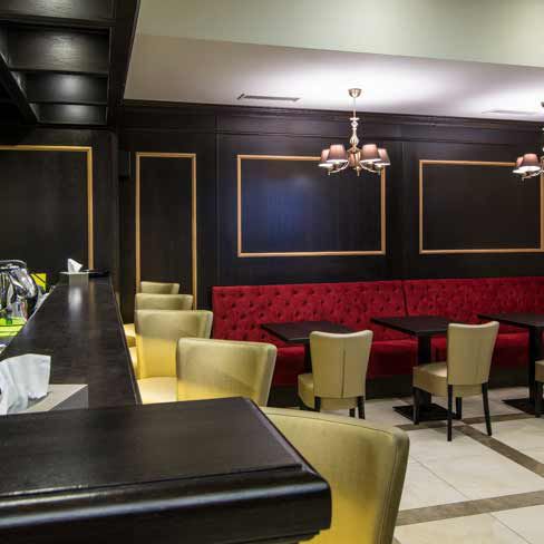 Galerie imagini