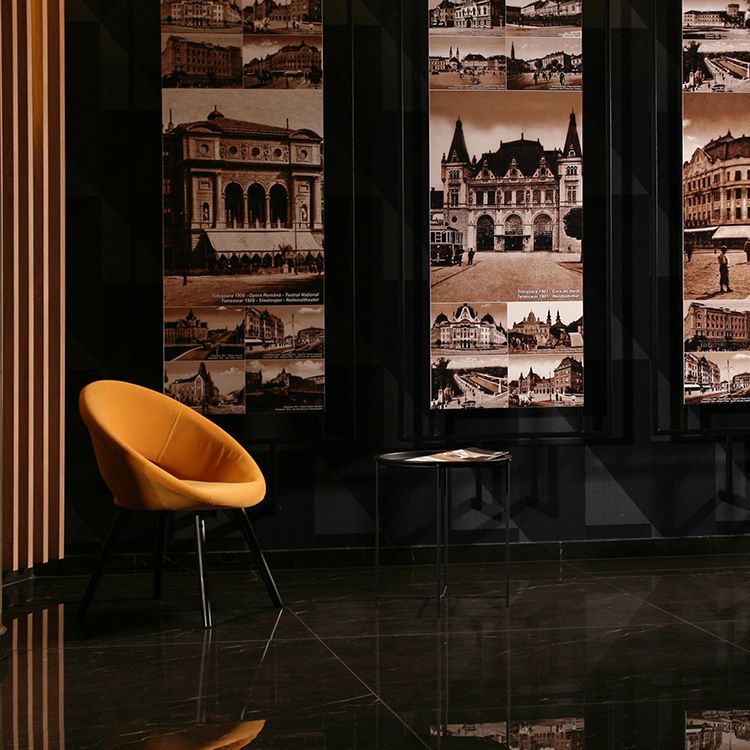Galerie imagini