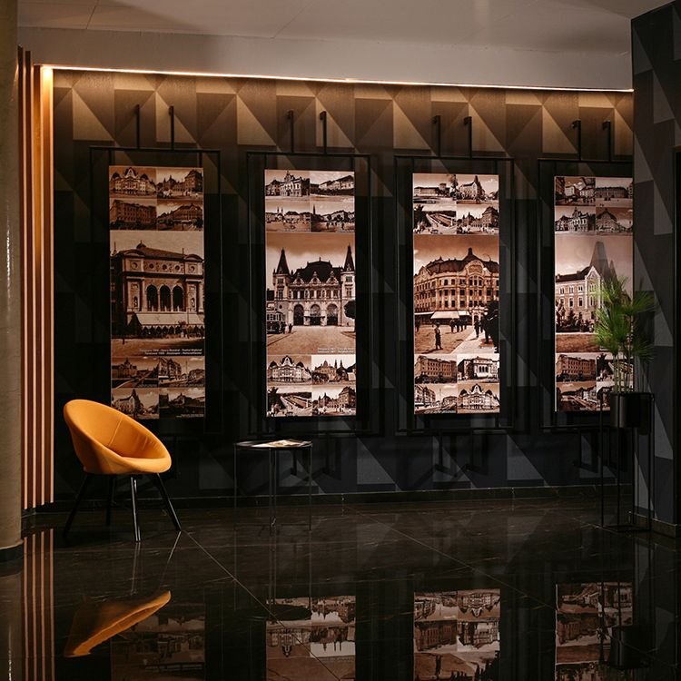 Galerie imagini