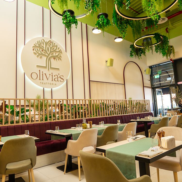 Galerie imagini